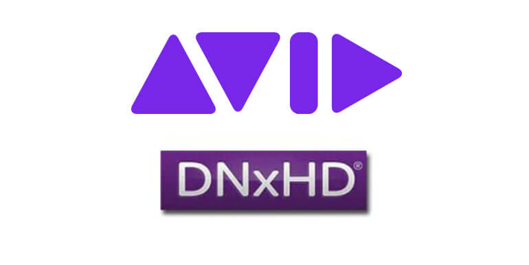 logos dnxhd avides logo dnxhd