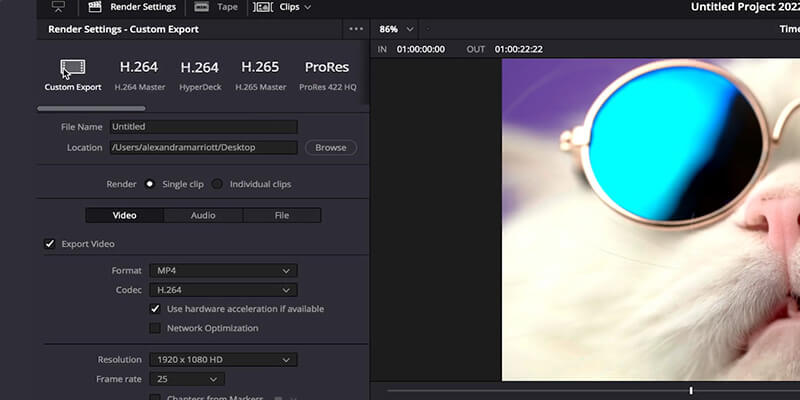 Custom Export in Davinci Resolve Quick Export window in DaVinci Resolve