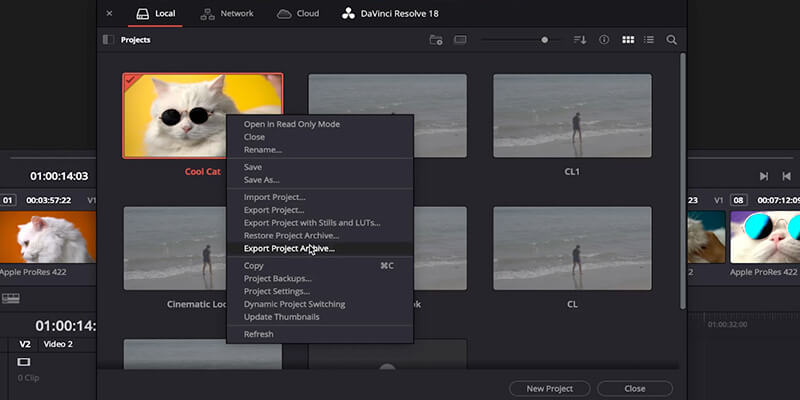 Export Project Archive in Davinci Resolve Mouse hovering over export project archive in Project Manager window in DaVinci Resolve
