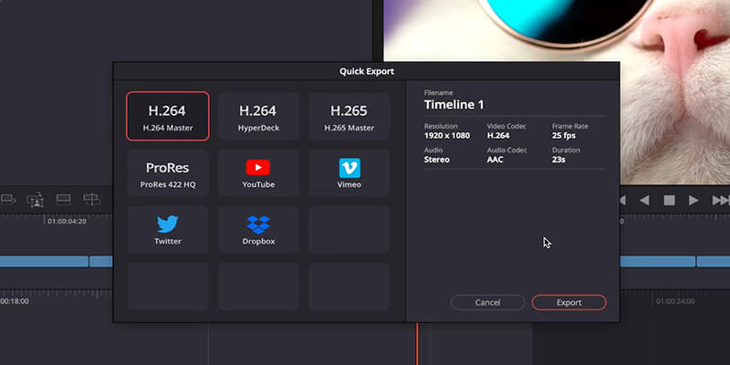 Quick Export in Davinci Resolve Quick Export window in DaVinci Resolve