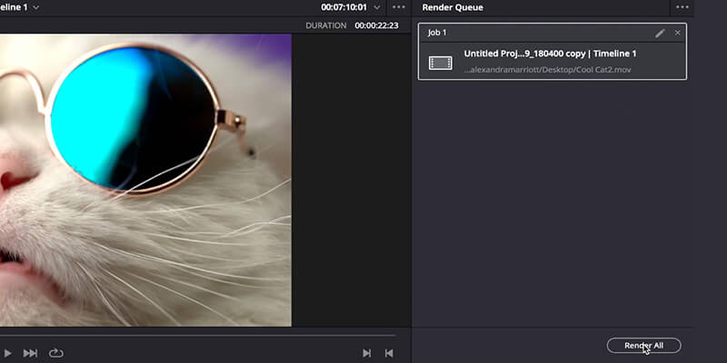 Render Queue window in Davinci Resolve mouse hovering over Render All button under Render Queue panel in DaVinci Resolve