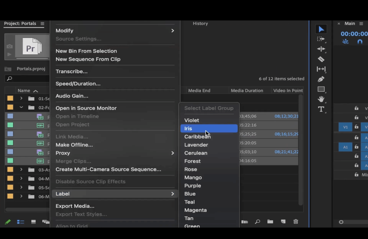 adobe-premiere-projet-fenêtre Étiquetage des fichiers multimédias et métadonnées