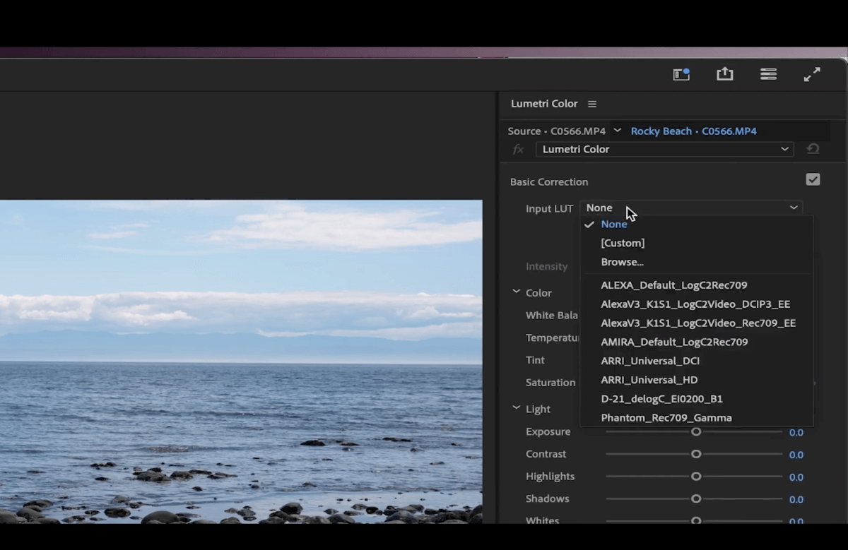 basic-correction-input-LUT-premiere-pro correction de base entrée LUT premiere pro