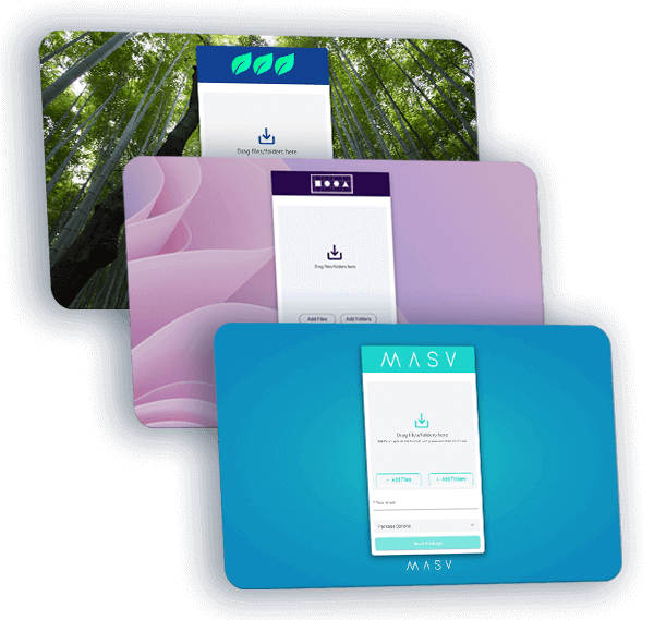 Illustration de l'interface utilisateur pour le téléchargement du MASV