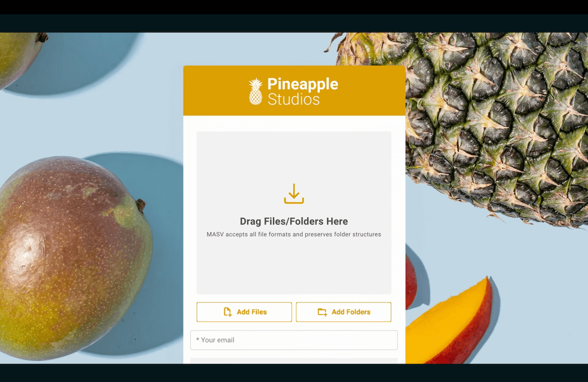 custom branding MASV portal Image de remplacement
