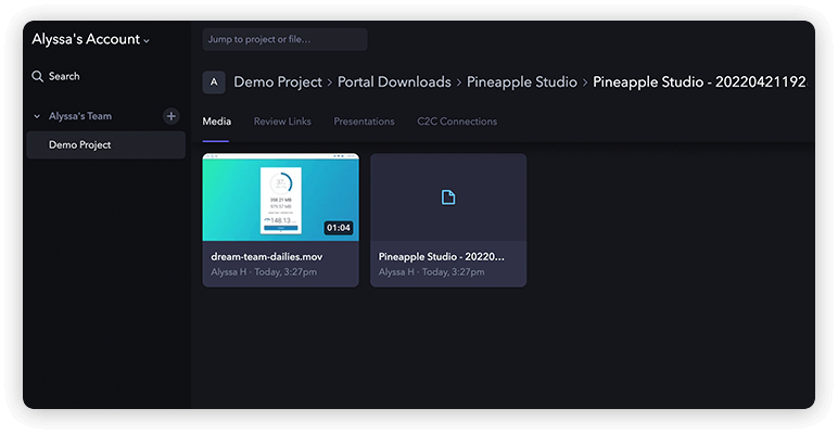custom-metadata-fields-import-frameio Instantané d'une livraison MASV automatiquement téléchargée vers un projet Frame.io