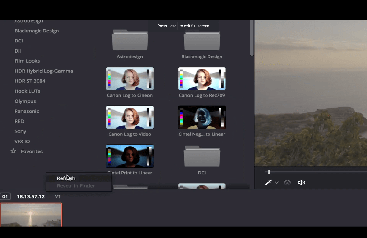 LUTs-davinci-resolve LUTs davinci resolve