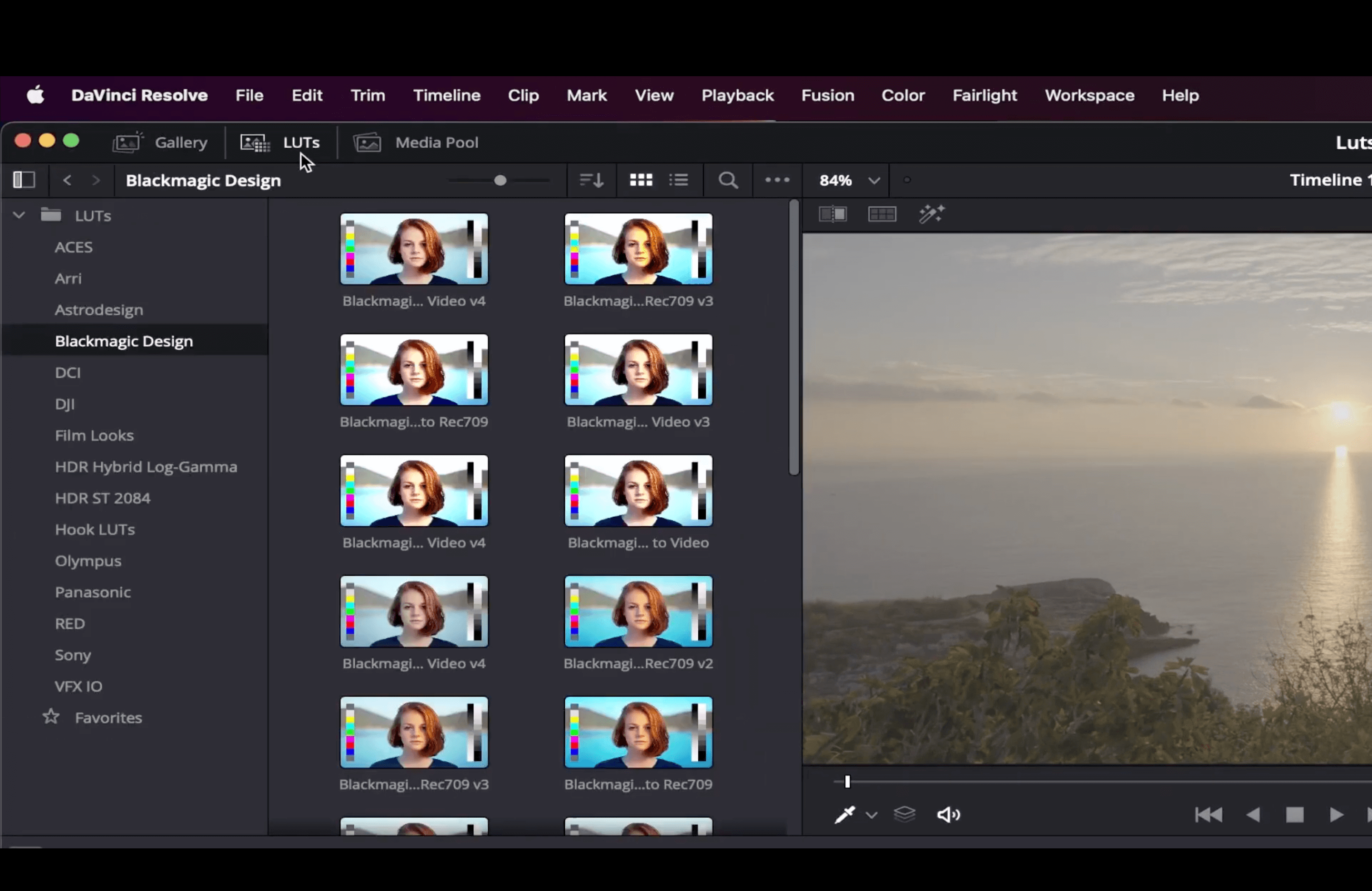 LUTs-tab-davinci-resolve Onglet LUTs davinci resolve